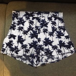 🌴Palm Tree Shorts🌴